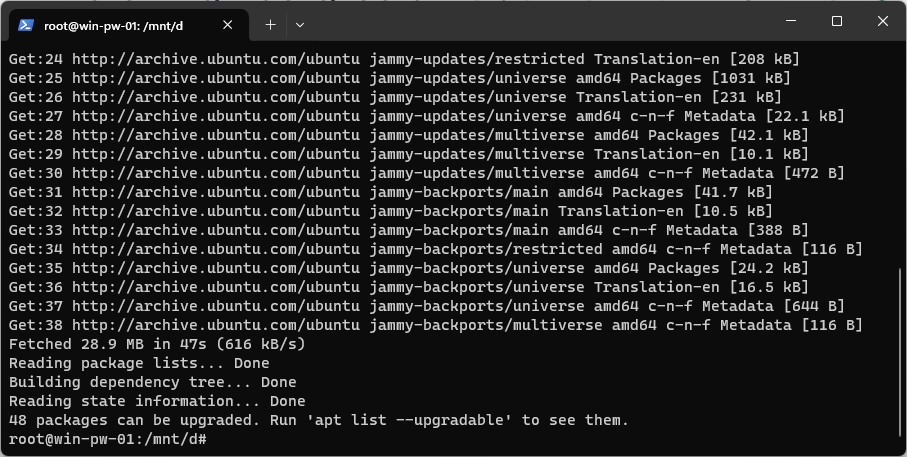 WSL Ubuntu Update Local Packages