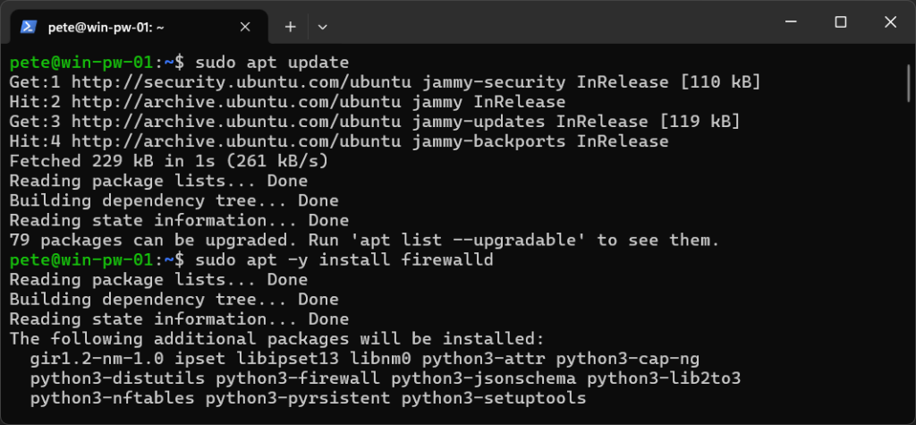 WSL Ubuntu Install Firewalld